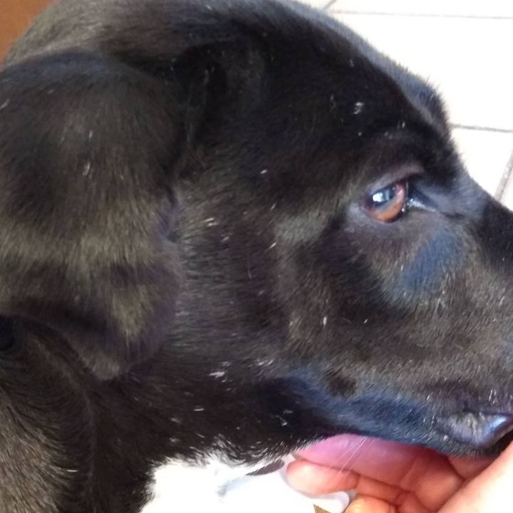 D4b2d3cf ae48 4aae ab00 21f52b5d4c4e 1593129111797