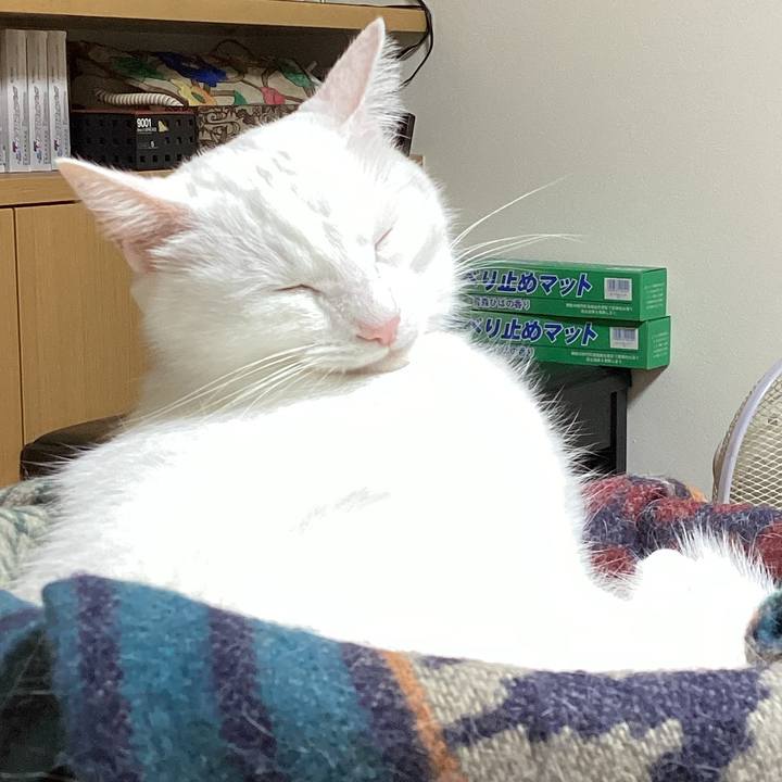 D4b3167a 0bf4 489c afd5 ebfb8406be49 1665528510313