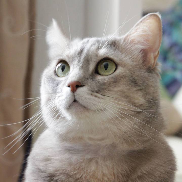 D4b36f48 5d3f 4606 936b 03bbd1d1e18b 1637660428519