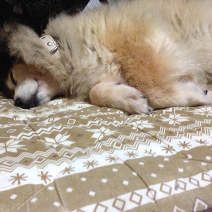 D4b37fb3 bc6f 458e abf5 739355e95611 1609592539367