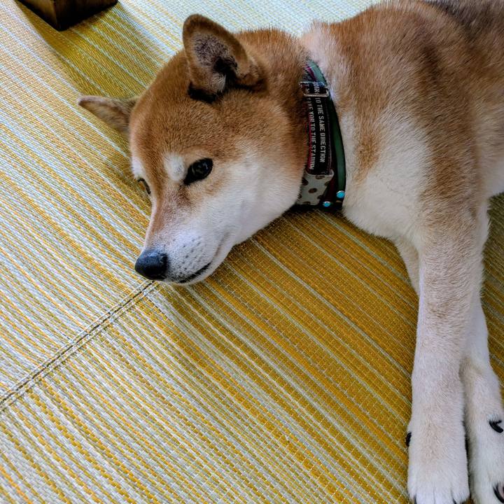 D4b39b4c d1d1 4b6a 9652 97bf74b79703 1749870258034