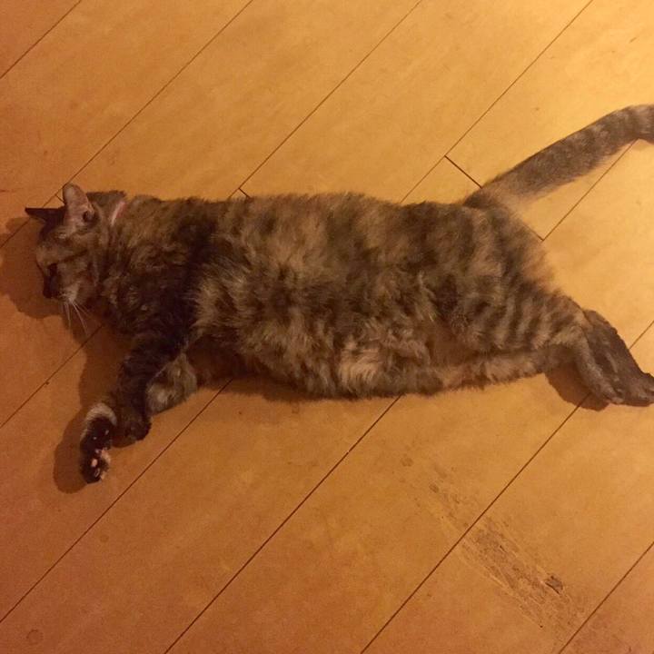 D4b3d472 4d47 4ac2 9e49 26e81a3906d7 1518095219207