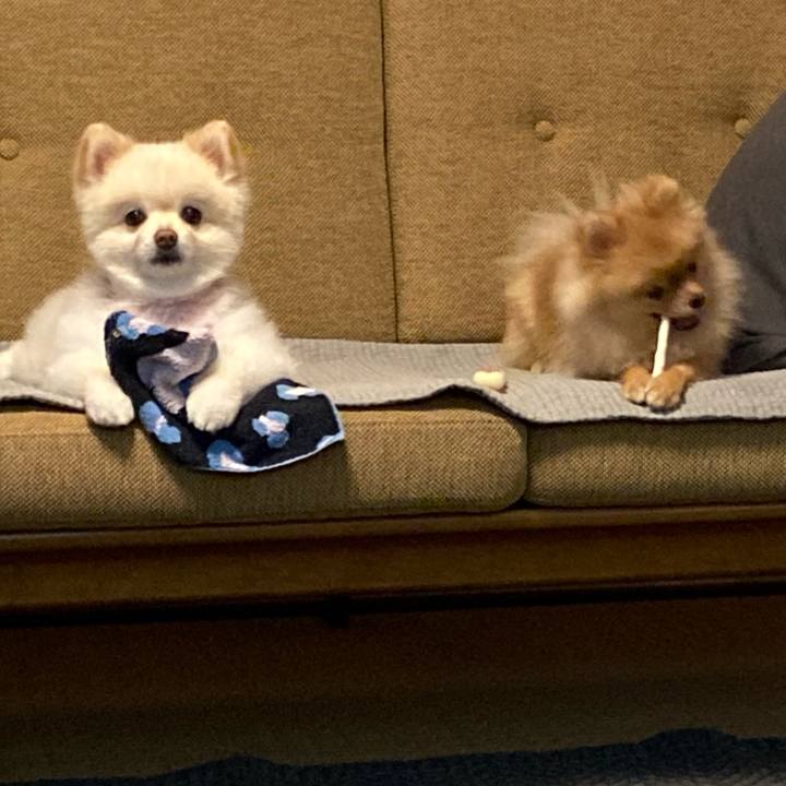 D4b3e200 e023 4cc8 955e 6bb9756e18d9 1664322929755