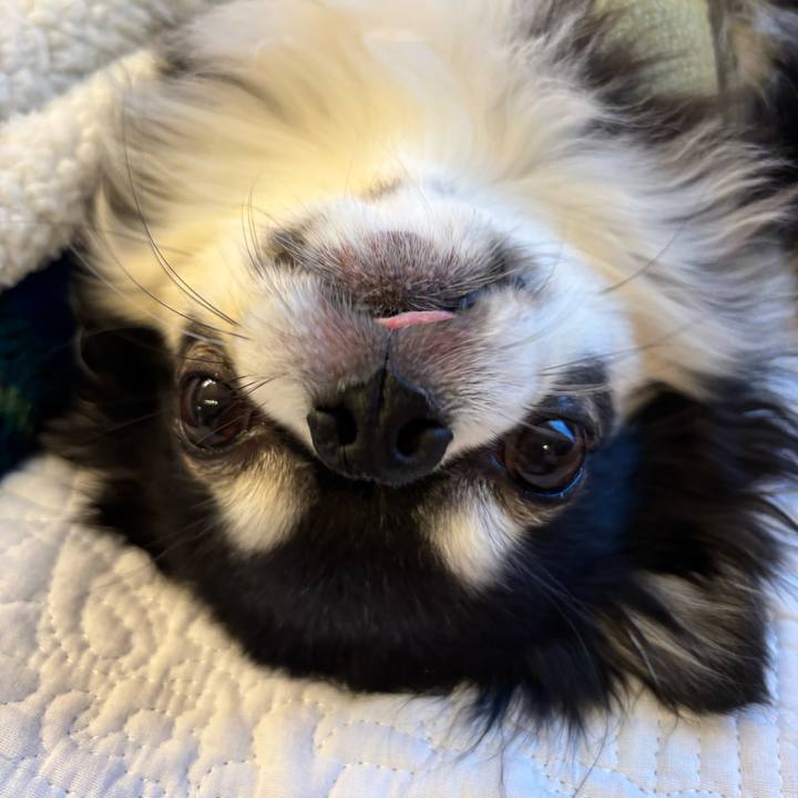 D4b3f8d2 bb17 4c06 9d57 d318573bf1f2 1765043851454