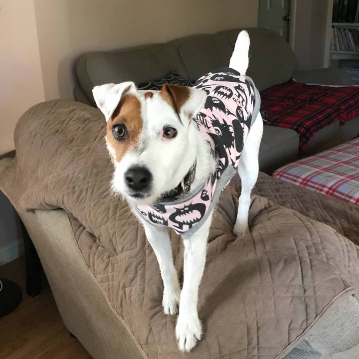 D4b3fab1 2fbb 4c6c a8c2 0b9e0aa9aac5 1519219263459