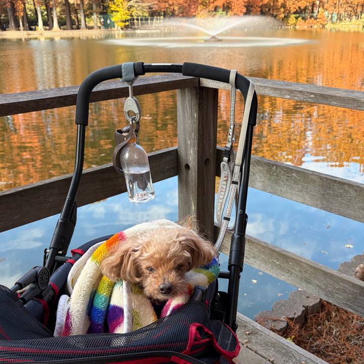 D4b40292 2f45 4ad3 9aca 611cc98a74dc 1764571380244