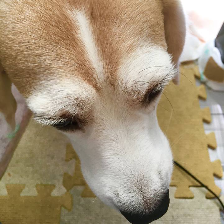 D4b4186f 7e71 4067 b2ac 141d92c7b880 1569468208649