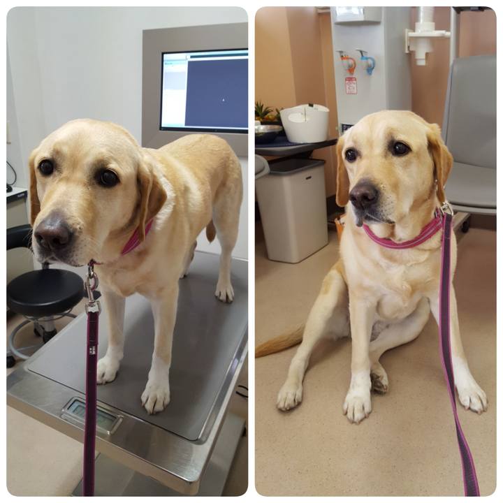 D4b43cae cc14 437c 966b 72aa3a203c71 1523858319325