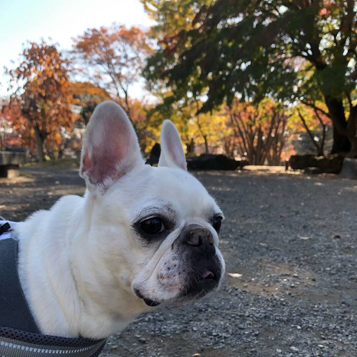 D4b43fef aa09 4b1c 9672 7857bd539051 1668828305208