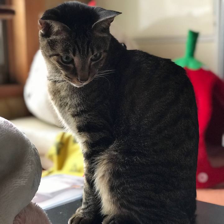 D4b4730c b408 4f7c ac3a e92b986753c2 1516238906106