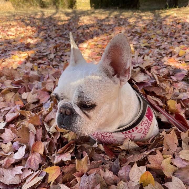 D4b4a973 3418 4ac7 a79b 24645bd69046 1764473561637