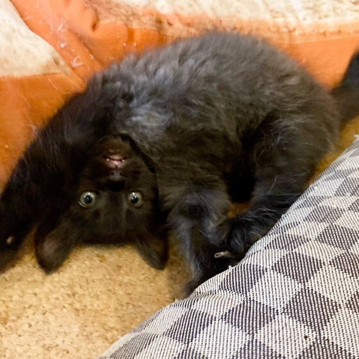 D4b4b627 035e 4eea 8da8 a40fefabfd65 1698218390522