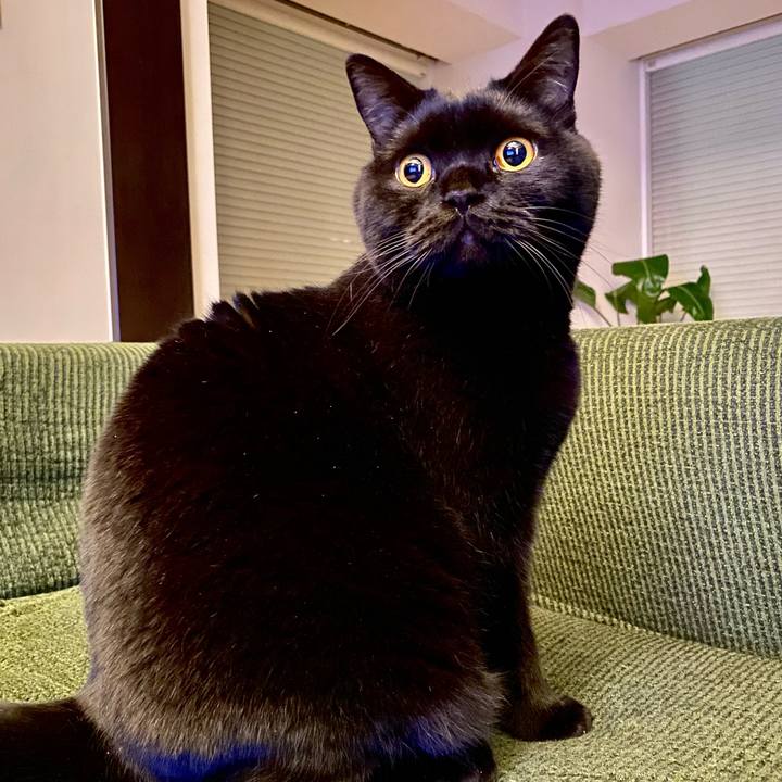 D4b4d35c d765 4fe8 853f 992fd9c623ba 1648818839428