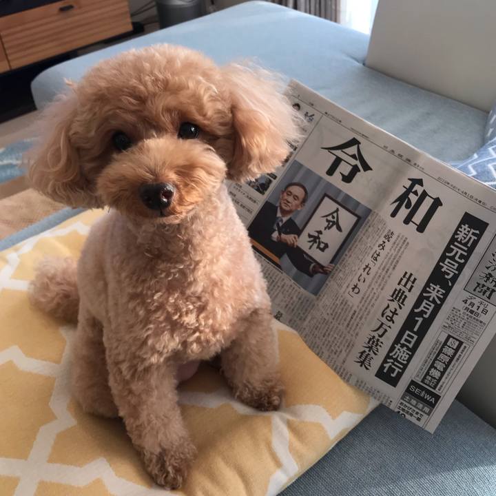 D4b4dcd9 e7c2 4bc4 9d4e dc217b3615ea 1554109098646