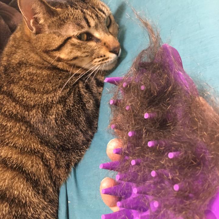 D4b50952 ea2d 4630 912c d3e097eeb037 1522564041011