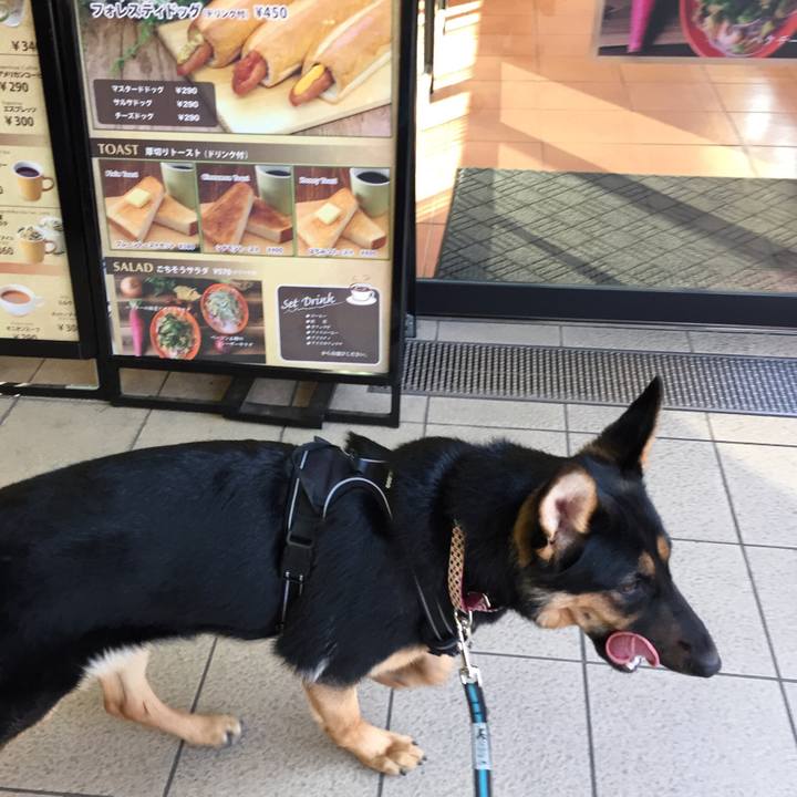 D4b5507b 6ba3 4811 803a f67af860873d 1520333013242