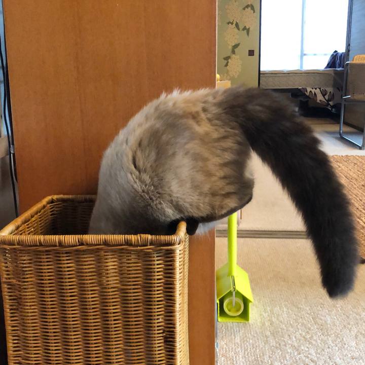 D4b57e89 a7ab 432f 8ac4 a88a481b20ce 1595407966060