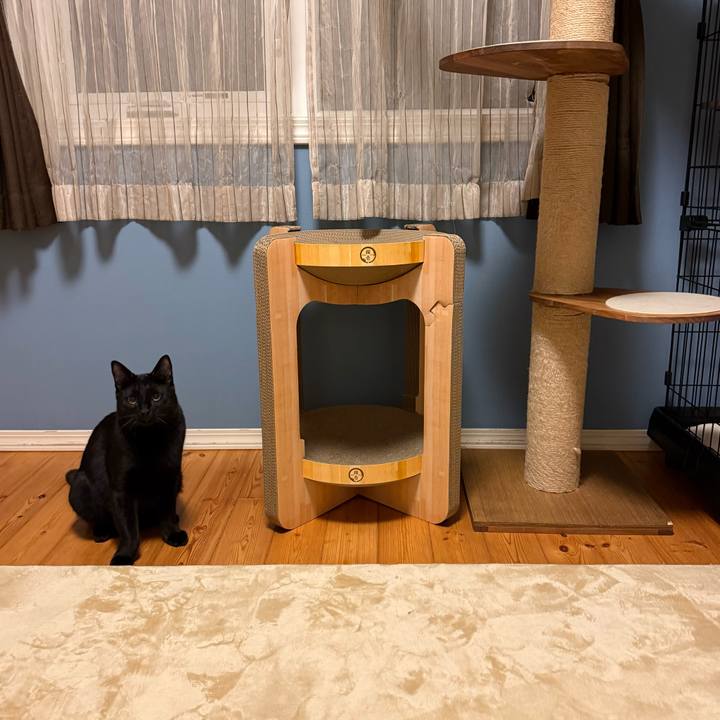 D4b5911e e71e 4f41 a04c 4f042e0c5f8d 1774876026768