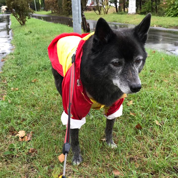 D4b5a60e 7f44 40a5 90d3 12183e229fc2 1570109421950