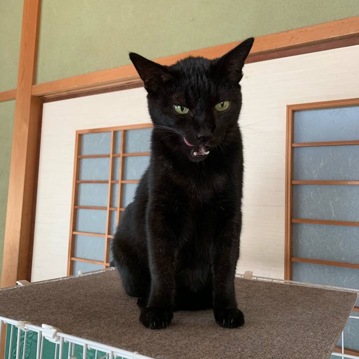 D4b5c51f 60c2 498b b727 a09406e98539 1570409660977