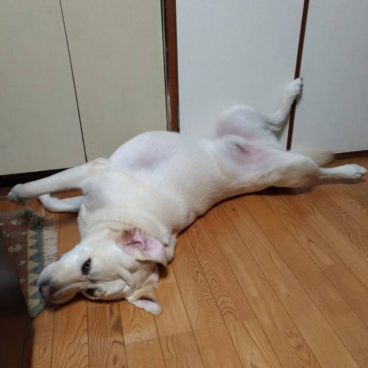 D4b5e6d2 4874 4e9d 865f e5dd5809e1c6 1566911750643