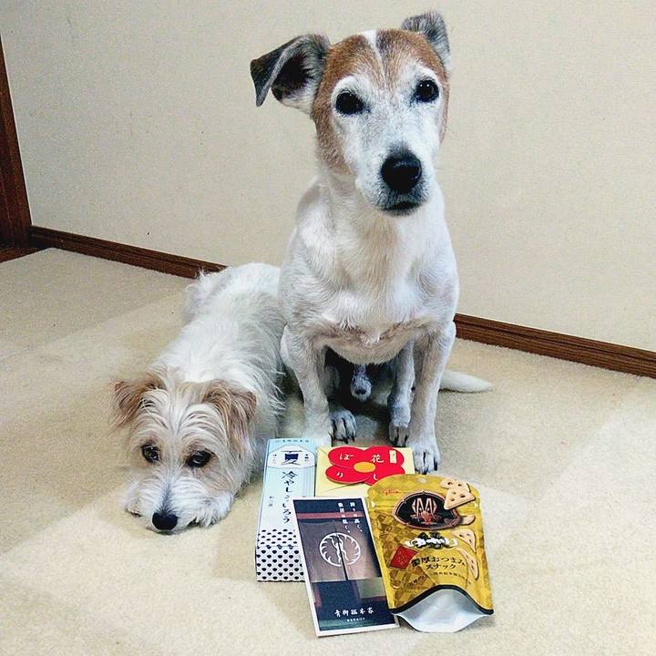 D4b5e778 c7f4 4d32 a842 d1404d30d56f 1564926612544