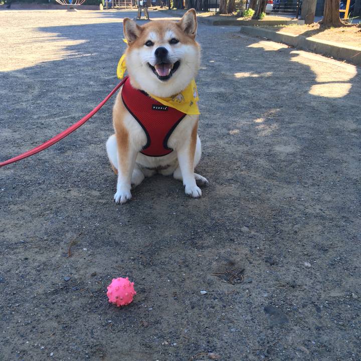 D4b60ddc e71c 420d 8113 99eae6a0f5f2 1597102034352