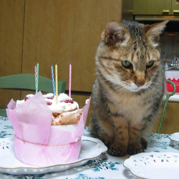 D4b64f4e 4ee8 40ed 80bc 3232481a6c01 1758862817153