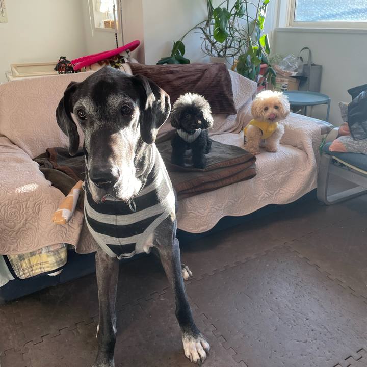 D4b68054 4ecc 467a bc24 64580a4a955f 1637707439935