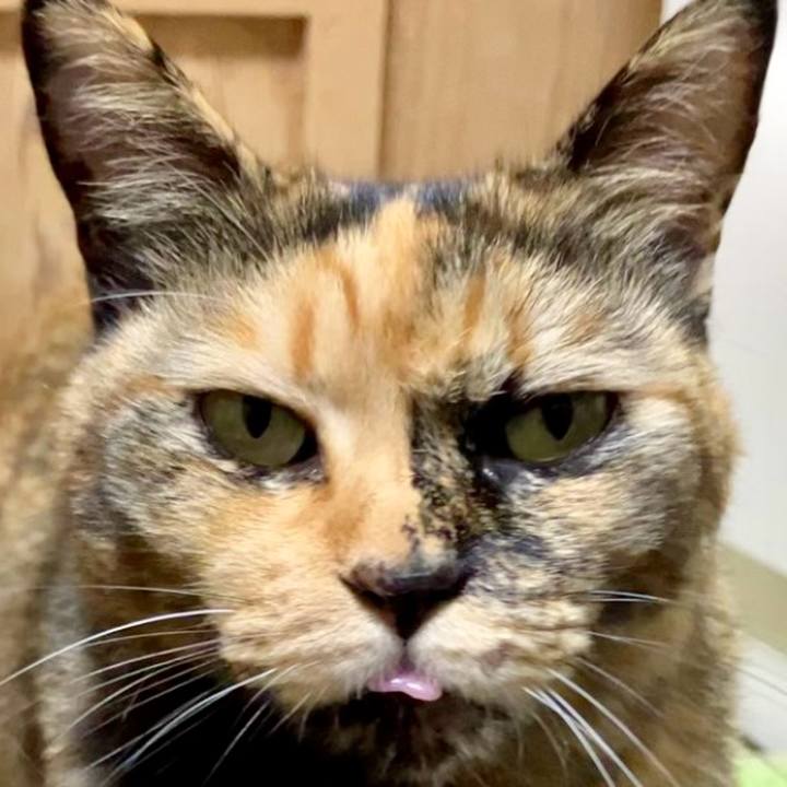 D4b68477 bf87 454a a3c6 5b3d7b2739de 1733132154593