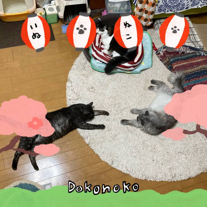 D4b6926f 04c9 43ac 80e6 b8d81a9c4c55 1712370326022