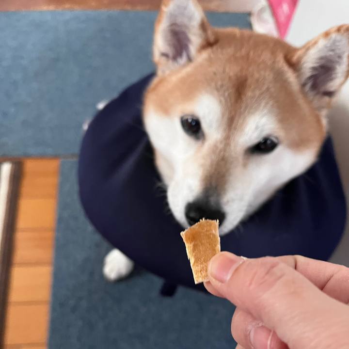 D4b6d973 bdf1 4d24 a65e bd10e8c5126c 1703668902886