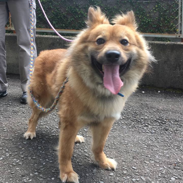 D4b701e3 ef66 4e62 abaa 2fc6f828bcbd 1560954851257