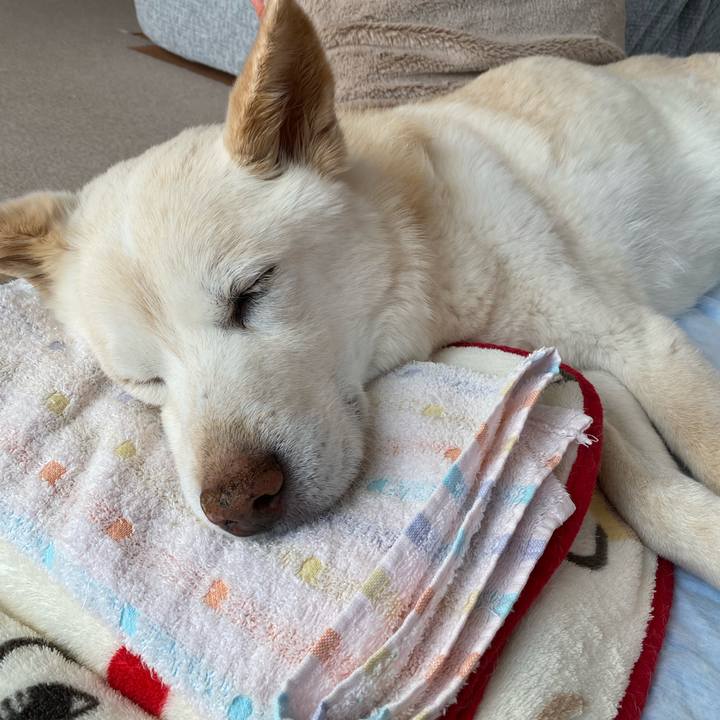 D4b70785 d10c 4328 ab74 48d899f49c65 1646720344351