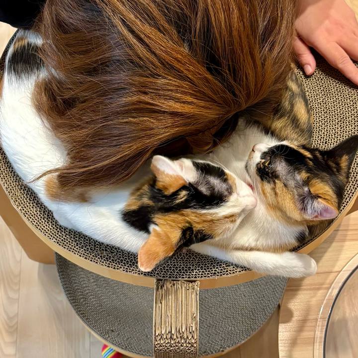 D4b71059 0f6a 4587 be61 214ac4aa20ee 1763461069693