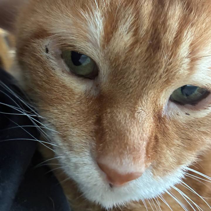 D4b71821 f8ba 44ab 82ee 43ee79c41c21 1771052332399