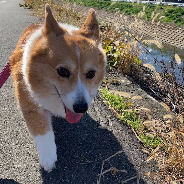 D4b71b73 72ca 4662 9111 e88de98e4090 1701835373051