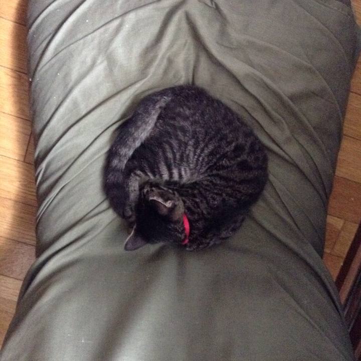 D4b73175 ae7c 49b5 9987 8b67915e1aef 1532695048066