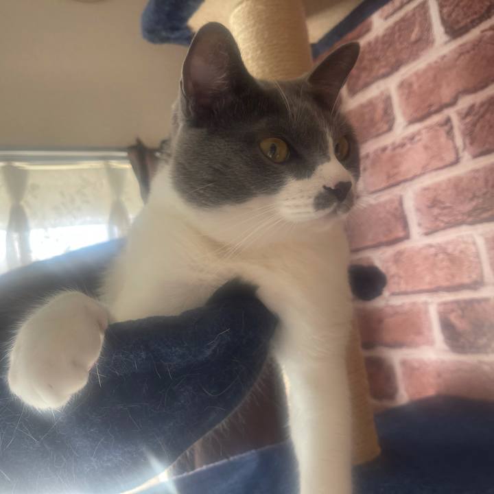 D4b7425d 521f 46d5 b7be fdb6d942ebf6 1635989787397