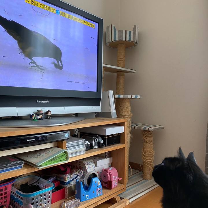 D4b77af8 c95a 442f 9c68 0f408f3a4b10 1608529050794