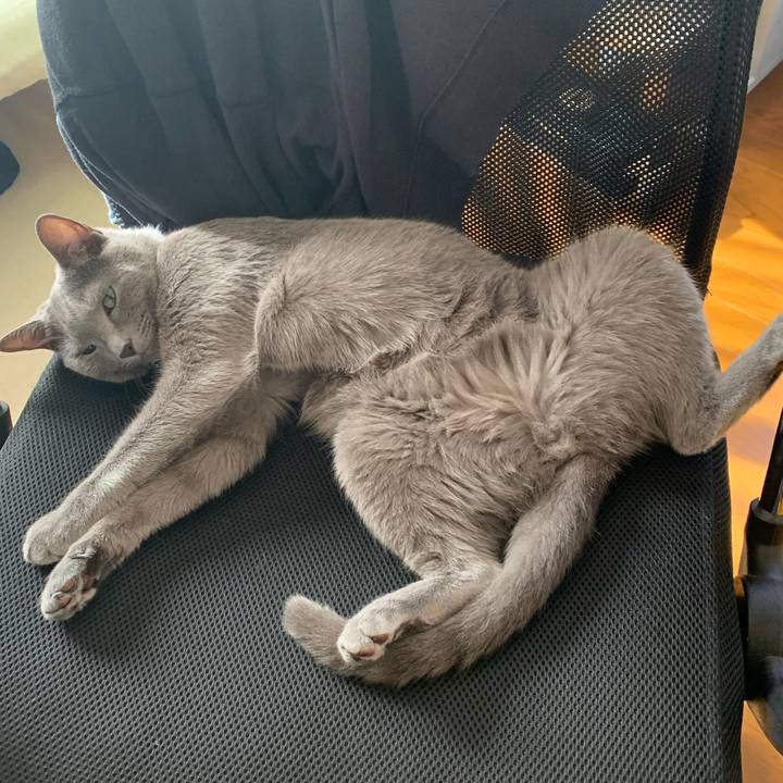 D4b78c83 6875 4abd b034 36ead1714c7e 1633993850579