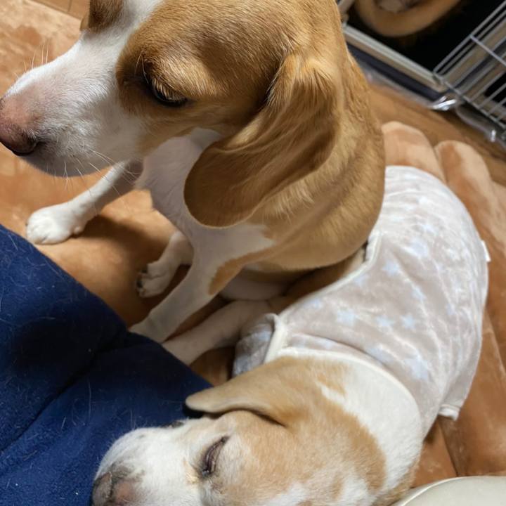 D4b7d11a b905 4566 b9e5 14eaa26f095f 1604714934316