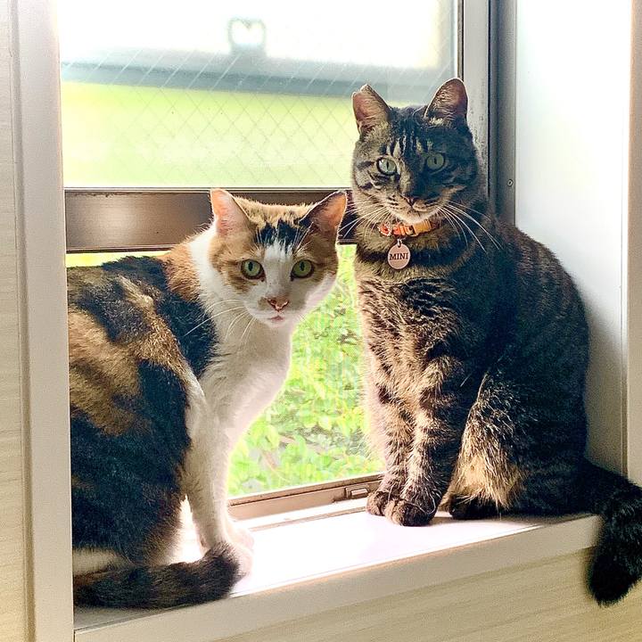 D4b7ece1 ec77 4ab2 8ff1 1599256d506b 1588650077428