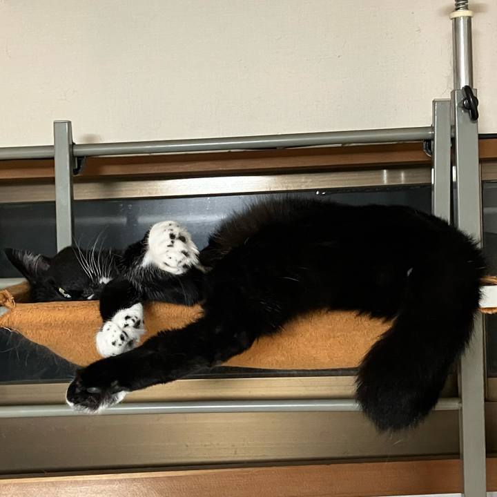 D4b8390a 157b 4174 84b3 609e86fa9147 1757996644142