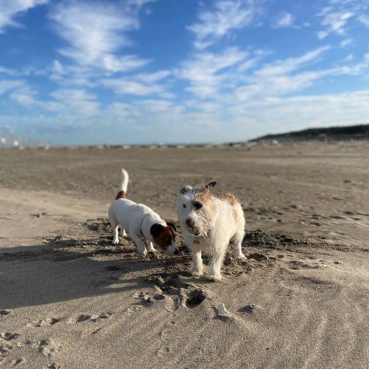 D4b8585d 26c5 42aa bd80 9cdb504ea902 1730167889017