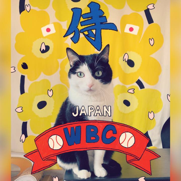 D4b87a33 86b8 41de 90c6 3dd110520fb4 1679485605812