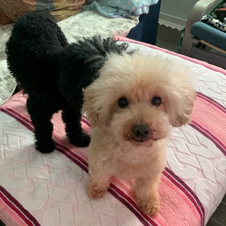 D4b89b29 b895 4caa bef9 86714c19810b 1595129194474