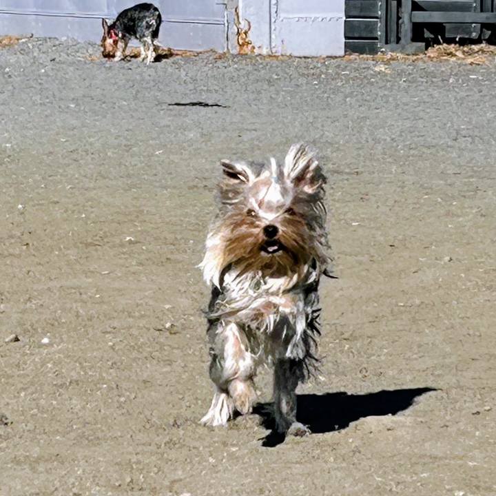 D4b8e36a 3512 4806 baa5 006c1e81c245 1772718285620