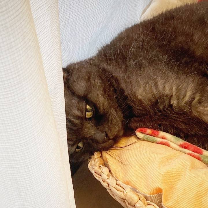 D4b8e6c3 77b3 43b2 88cc e12b7013fe1c 1589205794935