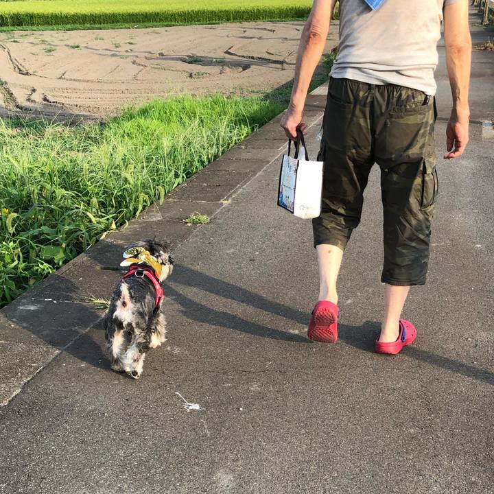 D4b905b7 7f39 4d50 86e5 ca21f5432062 1565584614193